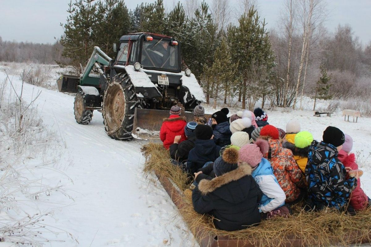 ПОДВОРЬЕ НА ПОЧИНКЕ: ЗИМНЯЯ СКАЗКА У РУССКОЙ ПЕЧКИ