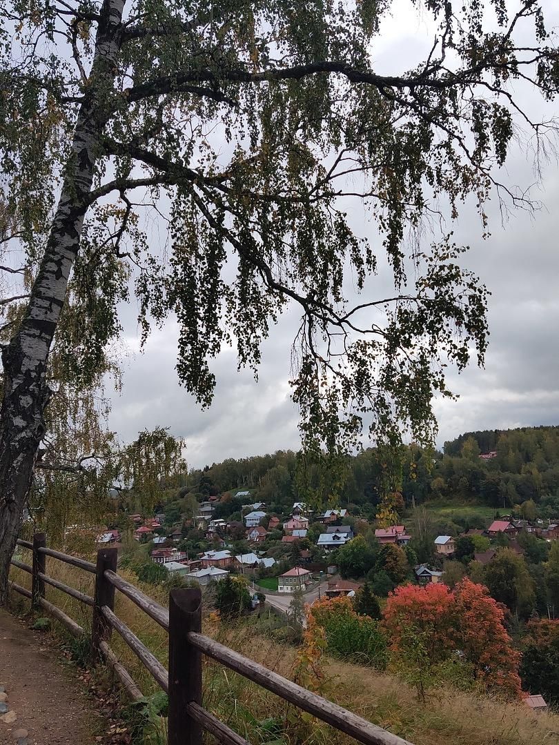 ЗОЛОТАЯ ОСЕНЬ В ПЛЕСЕ + КИНЕШМА