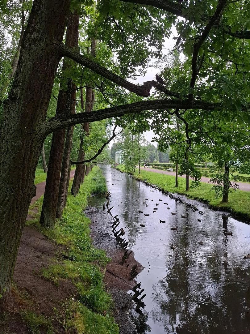 ЗОЛОТАЯ ОСЕНЬ В САНКТ-ПЕТЕРБУРГЕ: ЦАРСКОЕ СЕЛО + ГАТЧИНА